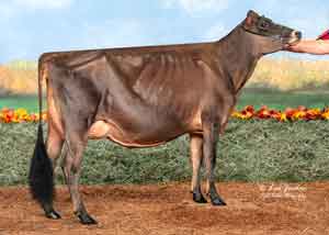 JFL28194-Hird's-Rockin-Silvia