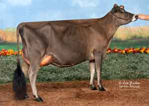 JFL28216-DKG-Gentry-Cream
