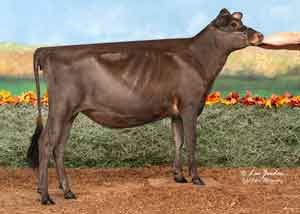 JFL28324-Ratliff-Comerica-Dana-ET