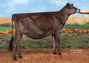 JFL28366-Stadview-Gentry-Vera-ET