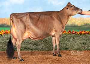 JFL28376-Stadview-Gentry-Vintage
