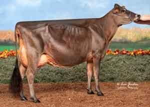 JFL28380-Smokin-Hot-Texas-Tornado