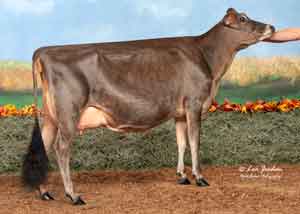 JFL28491-Gordons-Joel-Gracious