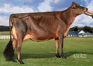JFL28495-Pine-Haven-Victorious-Taya