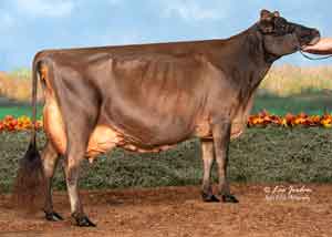 JFL28522-Bolle-Acres-Reviresco-Tyra-{4}