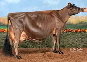 JFL28538-Stoney-Point-Colton-Edele