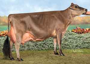 Miss-Ronde-Rosabella-ET_24