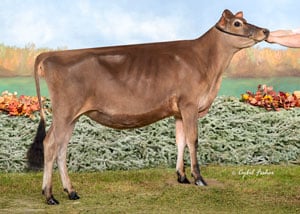 JF55085-Vierra-Victorious-Blaze-ET