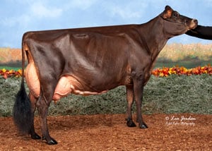 Arethusa-Victorious-Vedia