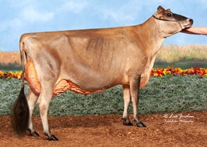 Hillacres-Chrome-Hibiscus