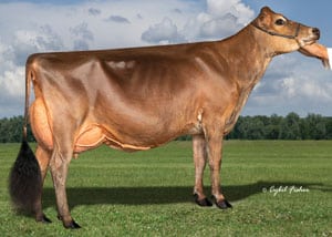 Kunde-Abel-Natty_25