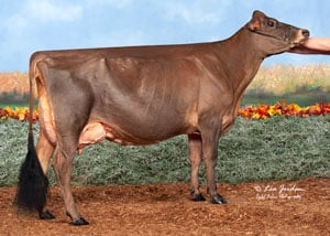 Meadowridge-Vitality-Karlee
