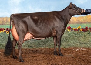 WF-Golddust-Angelina_25Harrisburg